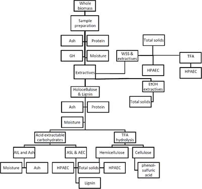 Tissue Composition of Agave americana L. Yields Greater Carbohydrates From Enzymatic Hydrolysis Than Advanced <mark class="highlighted">Bioenergy Crops</mark>